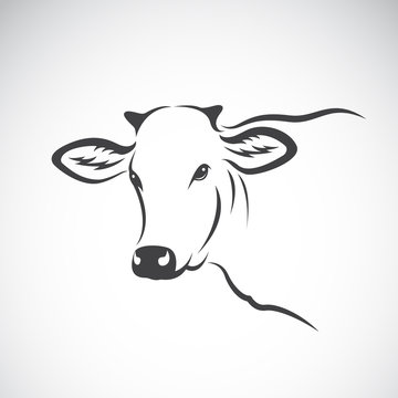 Vector image of a cow head design on white background, Vector co