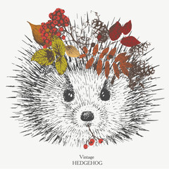 cute hedgehog with a wreath on the head of autumn leaves and berries