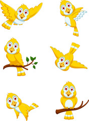 collection of yellow bird cartoon posing
