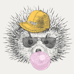 cute hedgehog in the hat and sunglasses inflates bubble chewing