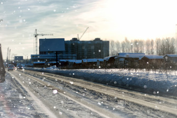 Fototapeta premium lanscape alley tree winter