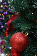 Obraz na płótnie Canvas Colorful christmas tree ball ornament on tree
