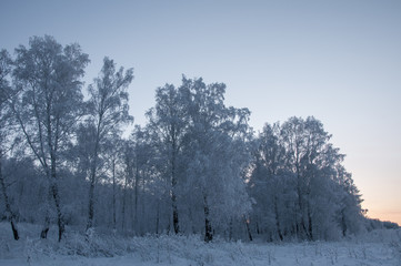 winter landscape