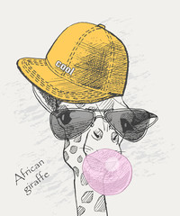 cool giraffe in the rapper cap and sunglasses inflates gum
