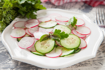 fresh vegetables salad - a garden radish and a cucumber in a plate on a table, selective focus