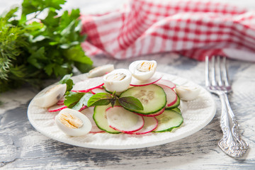 fresh vegetables salad - a garden radish and a cucumber in a plate on a table, selective focus