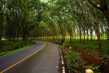 Road