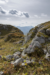 Bergwanderweg in den Alpen