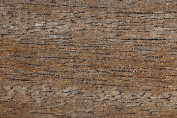 Fototapeta premium Brown wood texture from barn