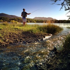 Fly Fishing