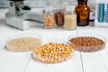 cereals in petri dish for analysis on wooden background