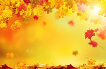 Naklejka na ściany i meble Autumn abstract background with falling leaves