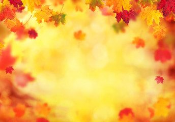 Naklejka na ściany i meble Autumn abstract background with falling leaves