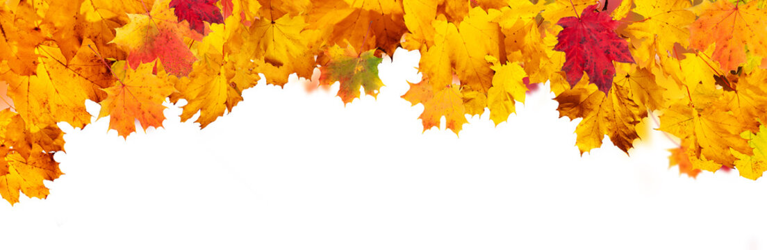 Autumn abstract background with falling leaves