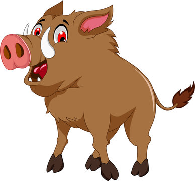 wild boar cartoon for you design