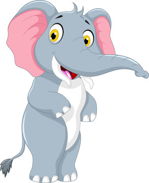 cute elephant cartoon standing