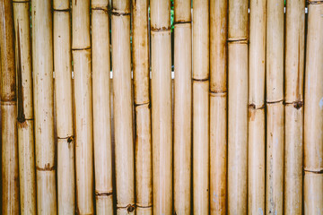 Bamboo fence background