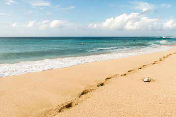 Fototapeta na wymiar Famous Banzai Pipeline beach on Oahu Hawaii