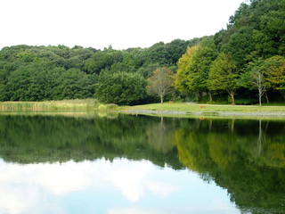 Obraz premium 秋の千駄堀池風景