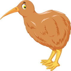cute kiwi bird cartoon for you design