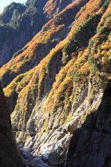 黒部渓谷下ノ廊下の紅葉と登山者