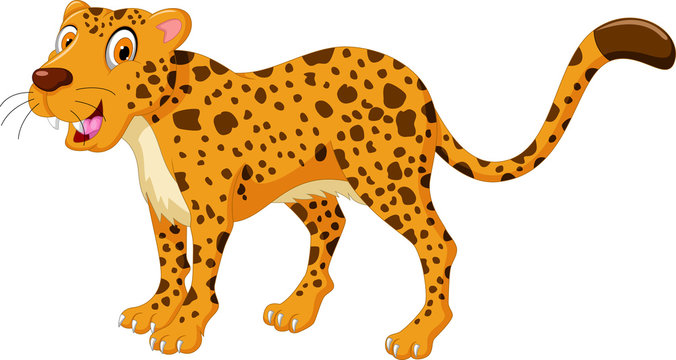 cute cheetah cartoon posing
