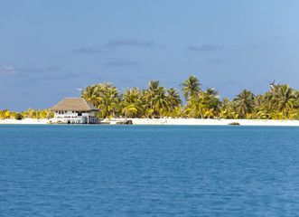 The tropical island with palm trees in the sea