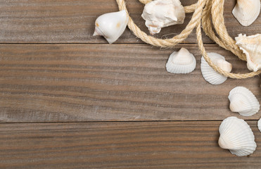 Seashells with rope on brown wooden boards