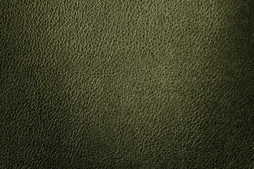 Green leather texture or leather background for design with copy space for text or image.