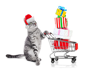 Funny cat in Santa hat with shopping cart full of gifts on white background