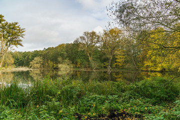 lake in the forest in autumn