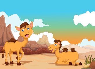 funny two camel cartoon with desert landscape background