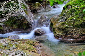 Fototapeta premium Mountain Creek