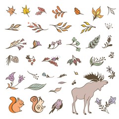 Vector Forest Fall Elements Set