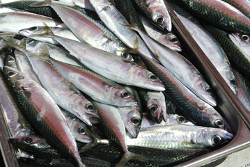 Obraz premium Fish market in Catania, Italy