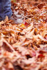 Child Legs and Feet Standing in Autumn Leaves - Vertical