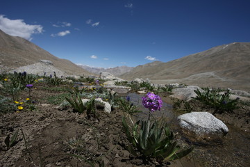 Pamir region Russian Federation Central Asia mountain landscapes