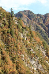 Fototapeta premium 黒部渓谷下ノ廊下の水平歩道と紅葉