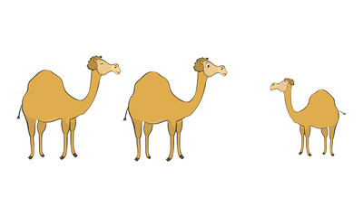 cute cartoon camel
