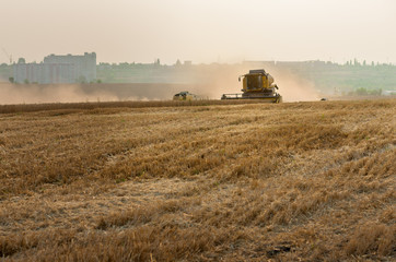 Yellow modern combine harvester in work, at end of summer.