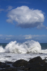 Gran Canaria, north coast