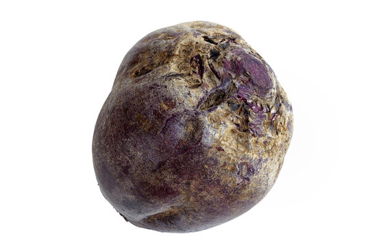 Beet Root Isolated