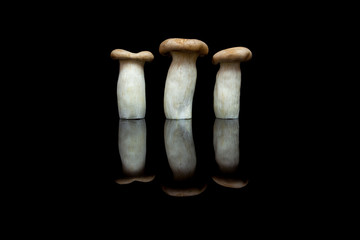 Three king oyster mushrooms in row isolated on black background
