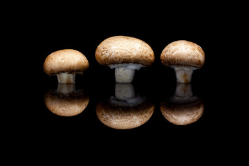 Three fresh brown champignons in row isolated on black backgroun