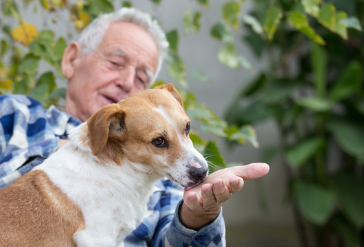 Senior man with dog in courtyard