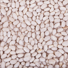 Heap of white beans isolated on white background