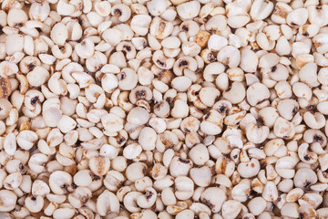 Heap of white beans isolated on white background