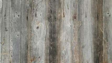 Fototapeta premium background Board