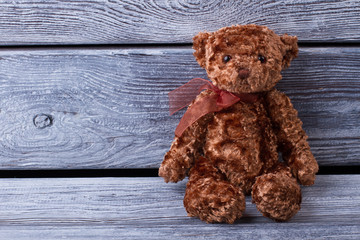 Cute teddy bear on old wood background.