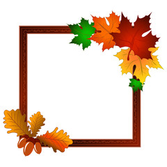 frame with maple leaves and acorns. brown, orange, yellow and color zelkny